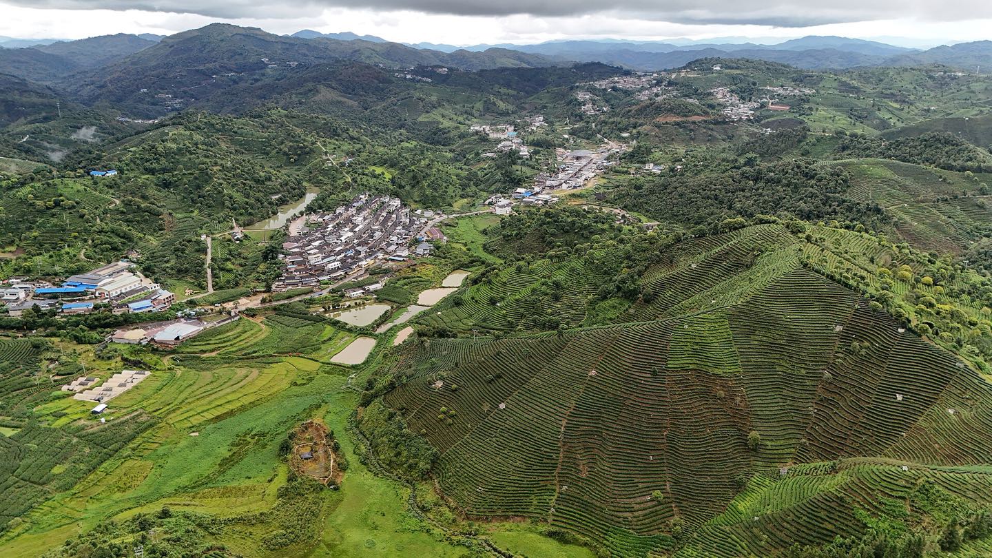 临沧茶山梯田与村落的航拍